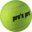 Pro's Pro Jumbo Ball